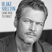 Blake Shelton - Came Here to Forget  artwork