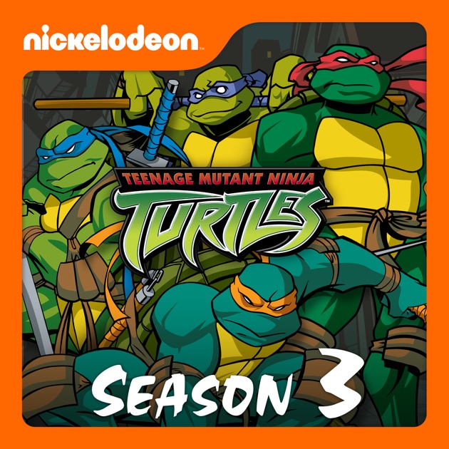 teenage mutant ninja turtles 2003