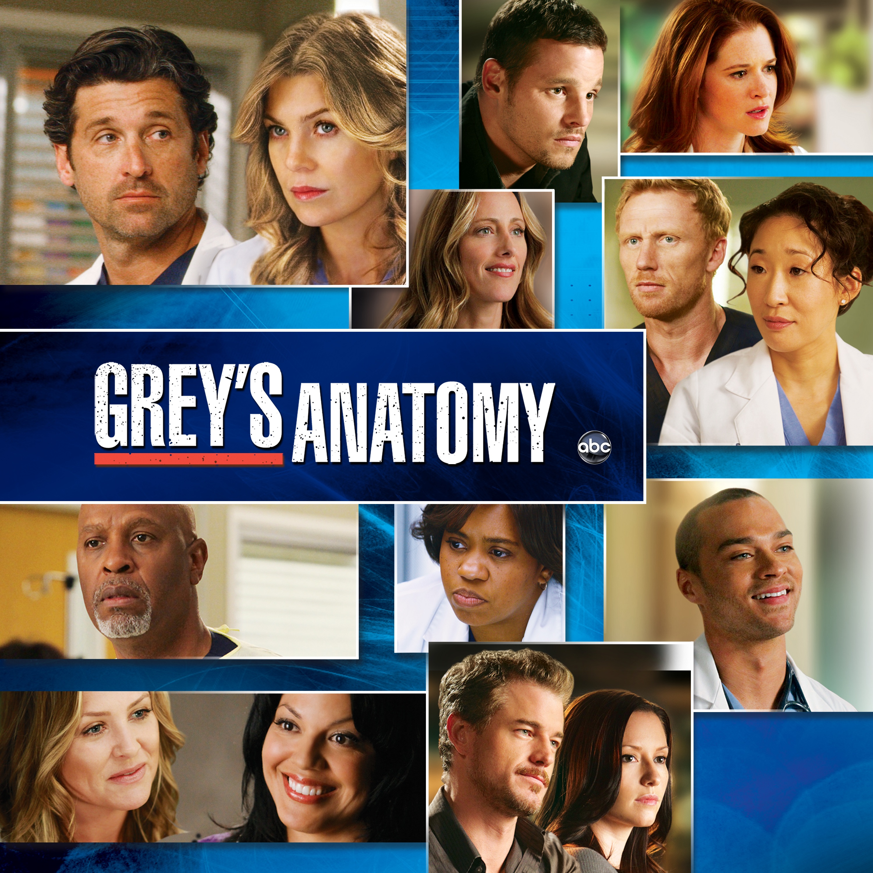 Watch Greys Anatomy Episodes on ABC Season 4 2008