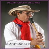 Pedro Ramayá Beltrán - Carnavaleando  artwork