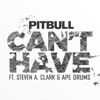 Can't Have artwork