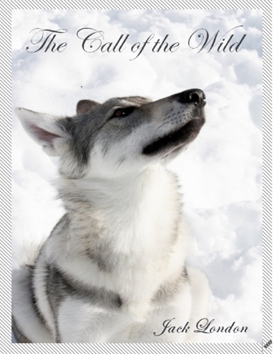 The Call of the Wild Illustrated
