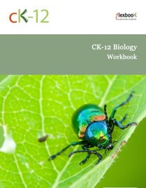 CK-12 BIOLOGY WORKBOOK