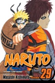 Masashi Kishimoto - Naruto, Vol. 29 artwork