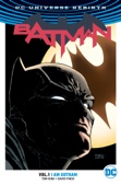 Tom King, David Finch & Ivan Reis - Batman Vol. 1: I Am Gotham artwork