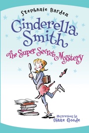 THE SUPER SECRET MYSTERY