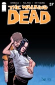 Robert Kirkman & Charles Adlard - The Walking Dead #37 artwork