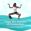 Yoga: The Journey of Connection