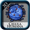 Celula Humana 3D st