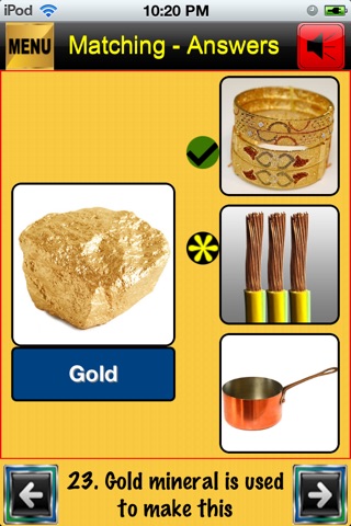 iPhone Screenshot 4