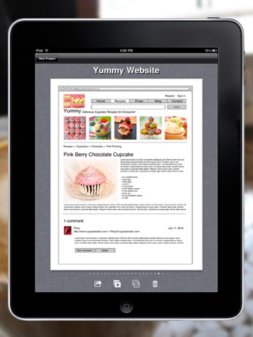 iPad Screenshot 3
