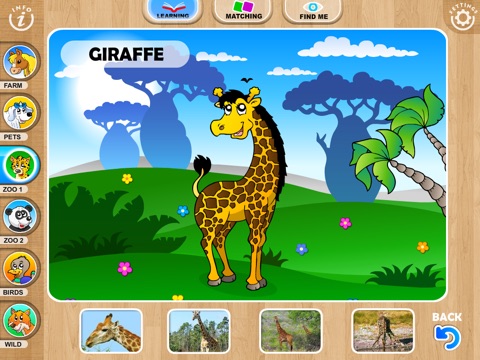 iPad Screenshot 3