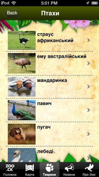 iPhone Screenshot 4