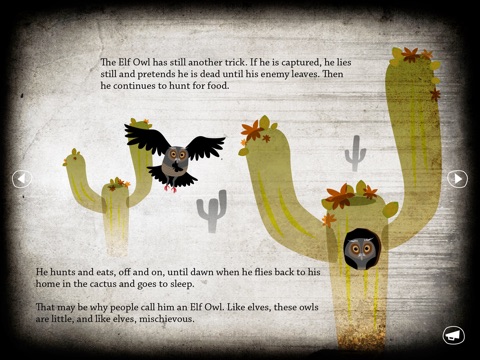 iPad Screenshot 3