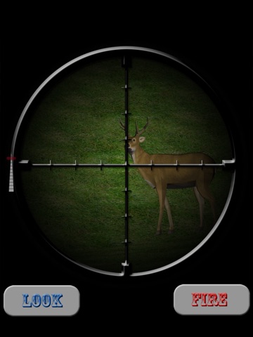 iPad Screenshot 2