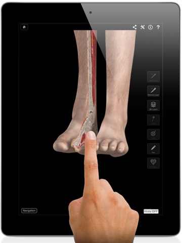 iPad Screenshot 1