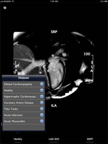 iPad Screenshot 5