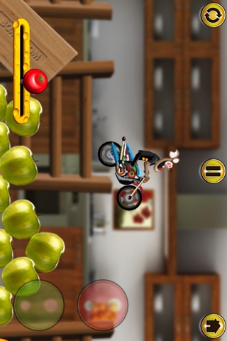 iPhone Screenshot 5