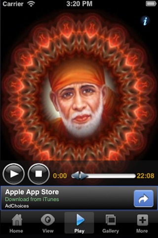 iPhone Screenshot 4