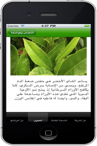 iPhone Screenshot 5