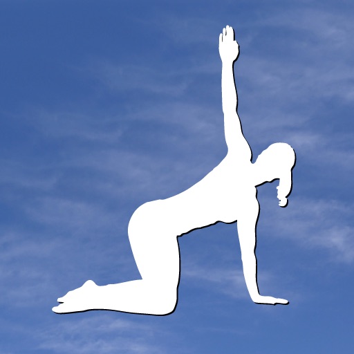 El gurú de pilates El gurú de pilates