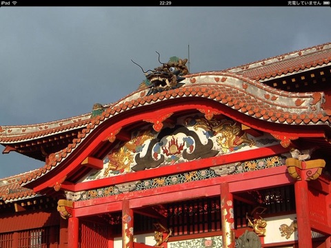 iPad Screenshot 3