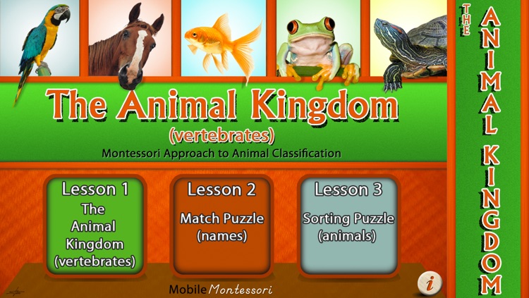Montessori Approach to Zoology - The Animal Kingdom (Vertebrates) by Rantek  Inc.