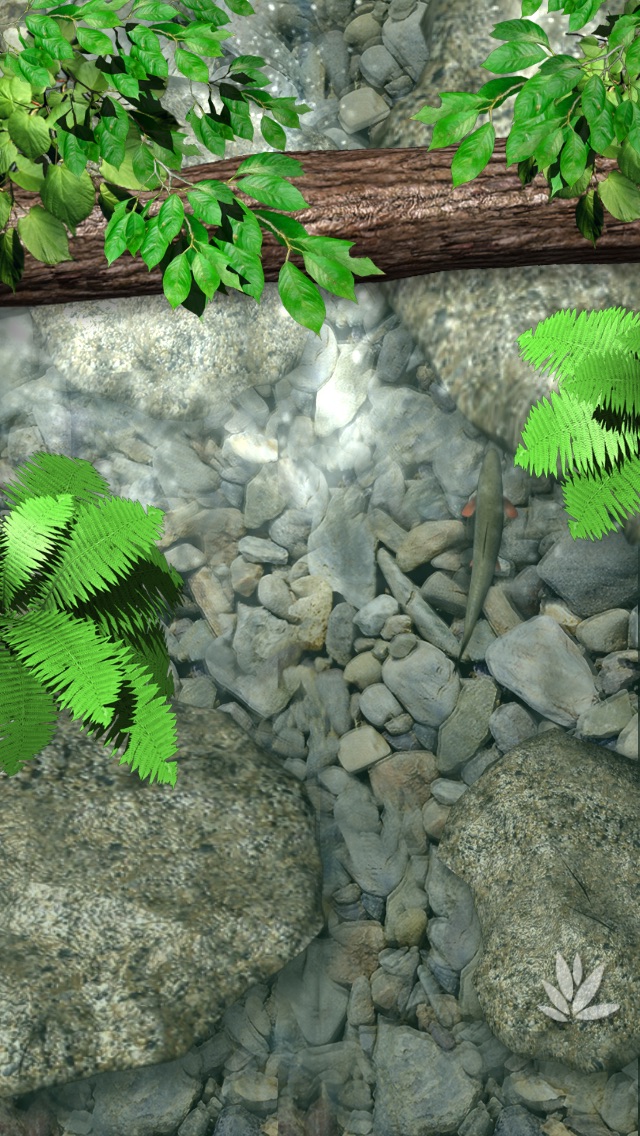 Trout River screenshot1