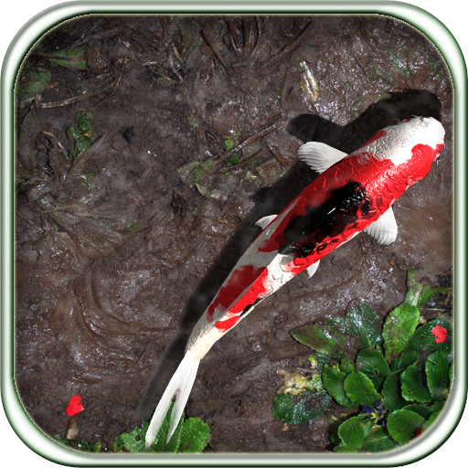 Pocket Pond HD App Icon