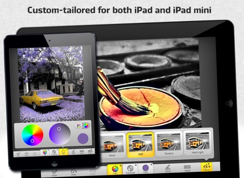 iPad Screenshot 1