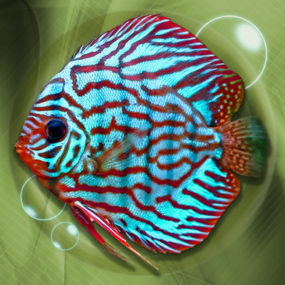 The best virtual pond and aquarium apps for the iPhone