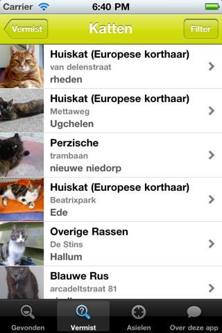 iPhone schermafbeelding 3
