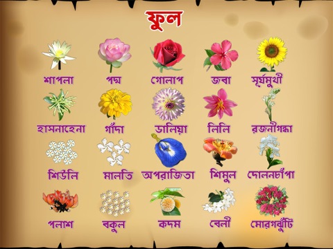 Как имя выглядит в цветах Bengali Flowers at Mac App Store downloads and cost estimates and app analyse by