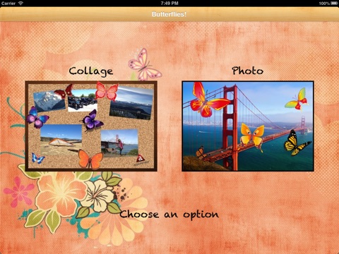 iPad Screenshot 1