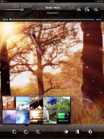 iPad Screenshot 1