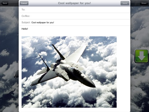 iPad Screenshot 5