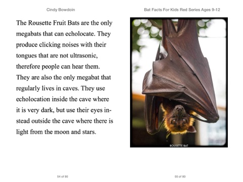 Bat Facts For Kids 9-12 by Cindy Bowdoin on iBooks