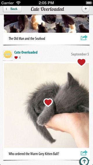 iPhone Screenshot 1