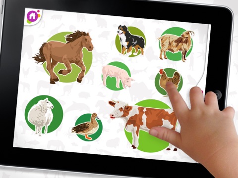 iPad Screenshot 5