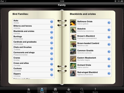 iPad Screenshot 3