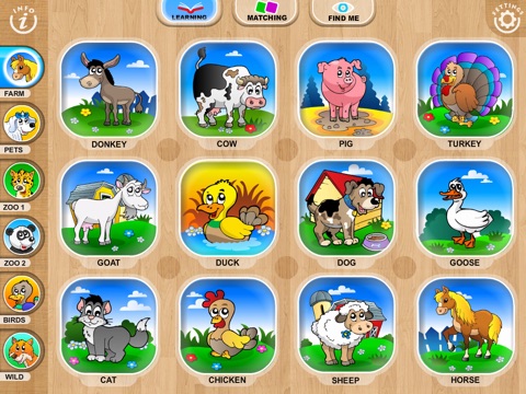 iPad Screenshot 2