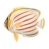app_icon