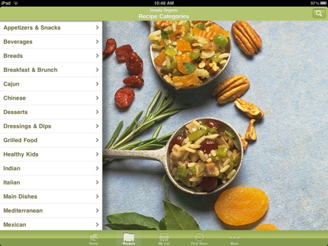 iPad Screenshot 2
