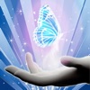 Illusion Hand 幻象之手 - IllusionHand , add magic colors to your photos !