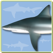 Sharks & Rays - Identification Guide for iPad