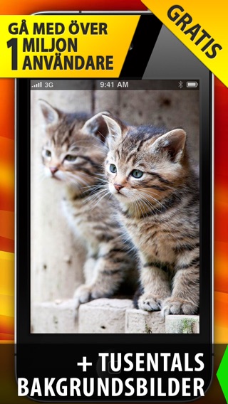 iPhone-skärmavbild 1