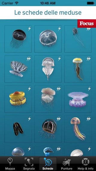 Istantanea iPhone 3