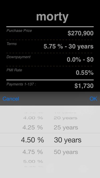 iPhone Screenshot 4