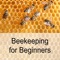初心者のための養蜂：ヒントとチュートリアル