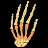 Rheumatoid Arthritis Guide - How To Relief Rheumatoid Arthritis Naturally arthritis 